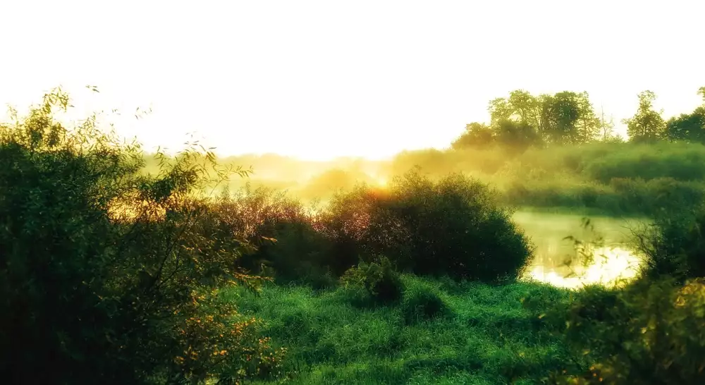 V e Co Pot ebujete V d t O Oparu Na Rtu Komplexn Diagnostika A L ba V e Co Pot ebujete V d t O Oparu Na Rtu Komplexn Diagnostika A L ba