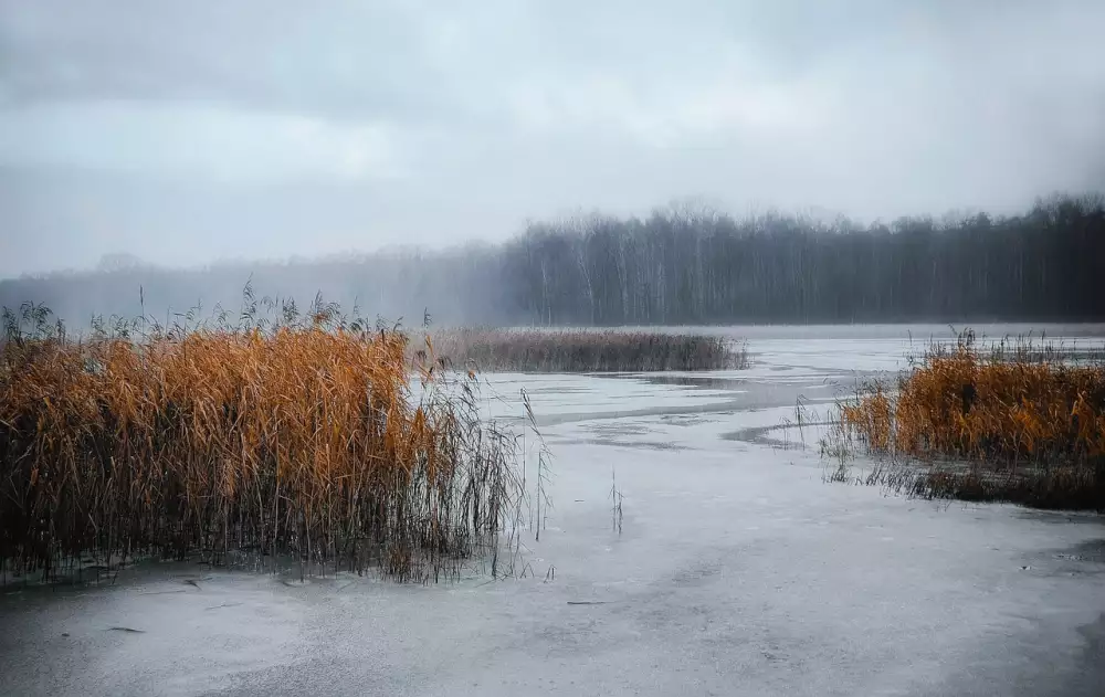 Genit ln Opar Co Pot ebujete V d t Genit ln Opar Co Pot ebujete V d t