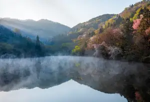 Kdy Je Zácpa Nebezpečná